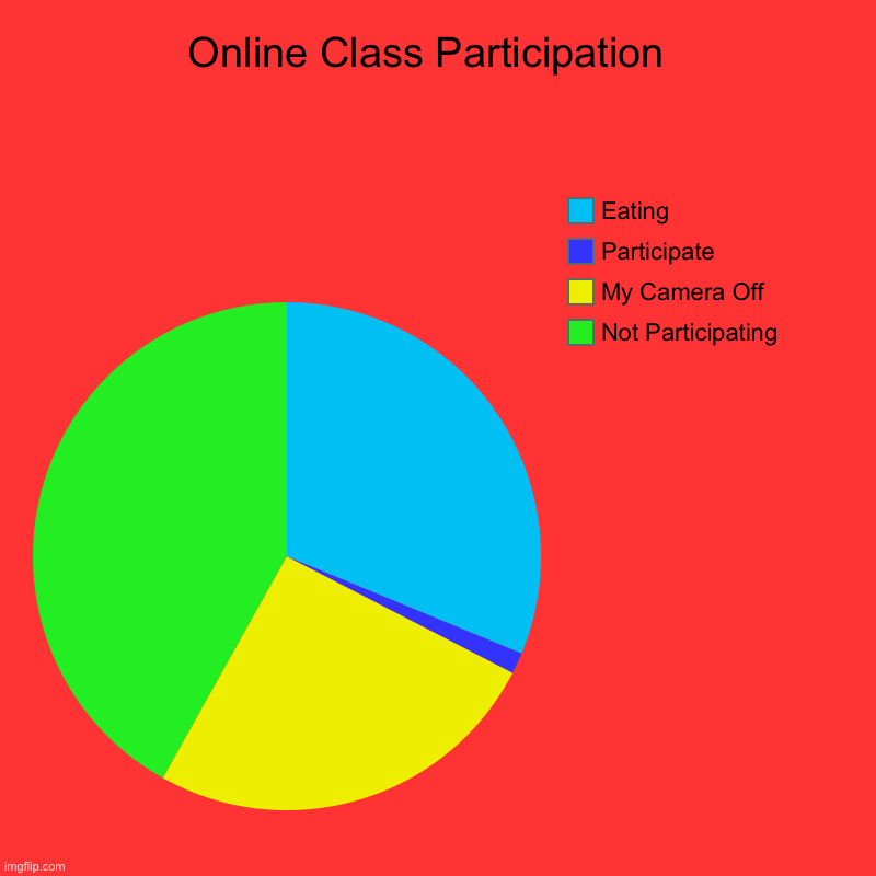 Class Participation | Online Class Participation  | Not Participating , My Camera Off, Participate , Eating | image tagged in charts,pie charts | made w/ Imgflip chart maker