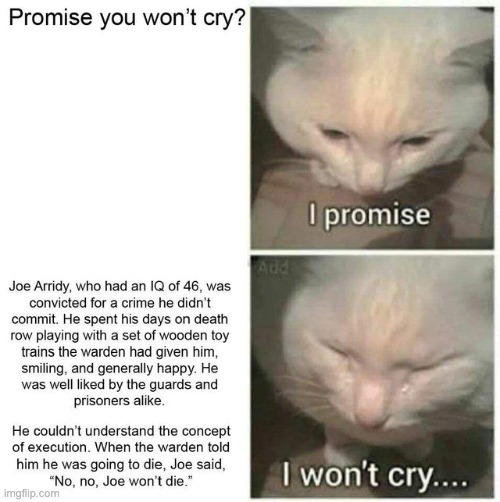 from reddit, so sad | image tagged in rip | made w/ Imgflip meme maker