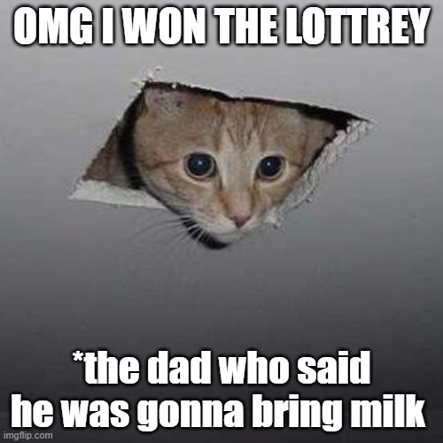 Ceiling Cat | OMG I WON THE LOTTREY; *the dad who said he was gonna bring milk | image tagged in memes,ceiling cat | made w/ Imgflip meme maker