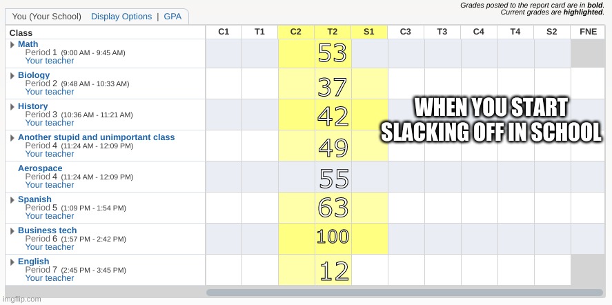 grades | 53; WHEN YOU START SLACKING OFF IN SCHOOL; 37; 42; 49; 55; 63; 100; 12 | image tagged in blank gradebook | made w/ Imgflip meme maker