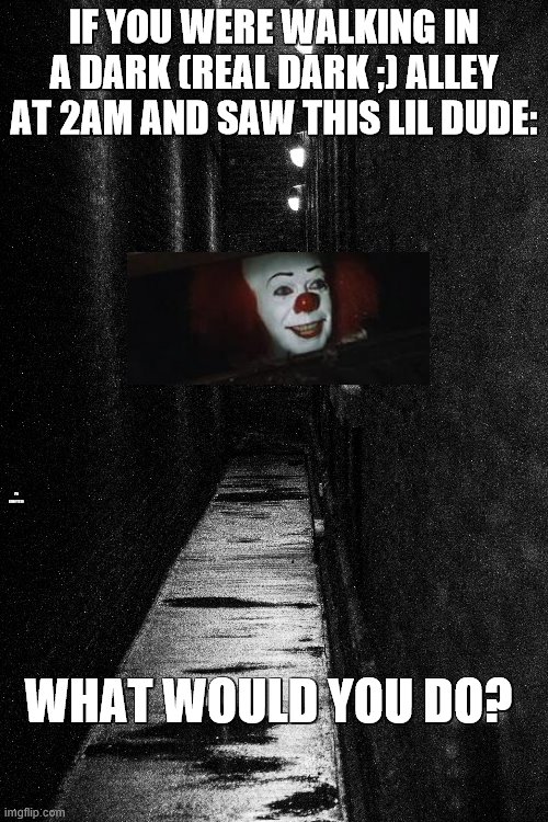 XDDDDDDD | IF YOU WERE WALKING IN A DARK (REAL DARK ;) ALLEY AT 2AM AND SAW THIS LIL DUDE:; I'D LENNY IT XD; WHAT WOULD YOU DO? | image tagged in clown | made w/ Imgflip meme maker