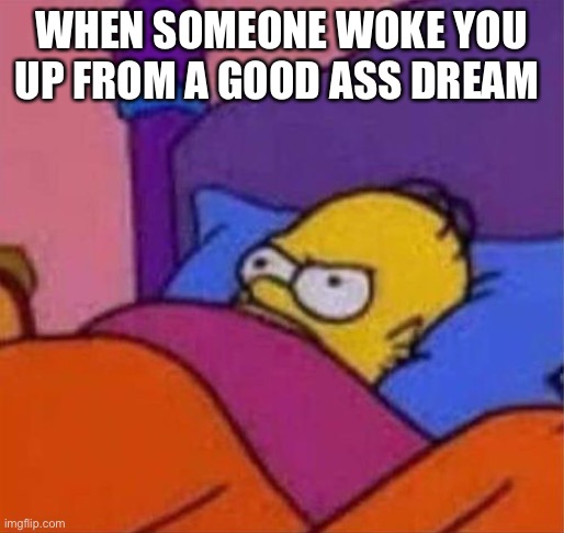 angry homer simpson in bed | WHEN SOMEONE WOKE YOU UP FROM A GOOD ASS DREAM | image tagged in angry homer simpson in bed | made w/ Imgflip meme maker