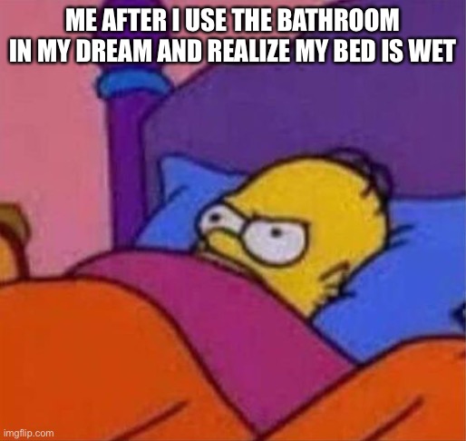 angry homer simpson in bed | ME AFTER I USE THE BATHROOM IN MY DREAM AND REALIZE MY BED IS WET | image tagged in angry homer simpson in bed | made w/ Imgflip meme maker