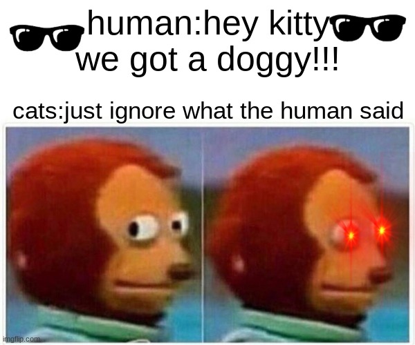 evry cat with the d word | human:hey kitty we got a doggy!!! cats:just ignore what the human said | image tagged in memes,monkey puppet | made w/ Imgflip meme maker