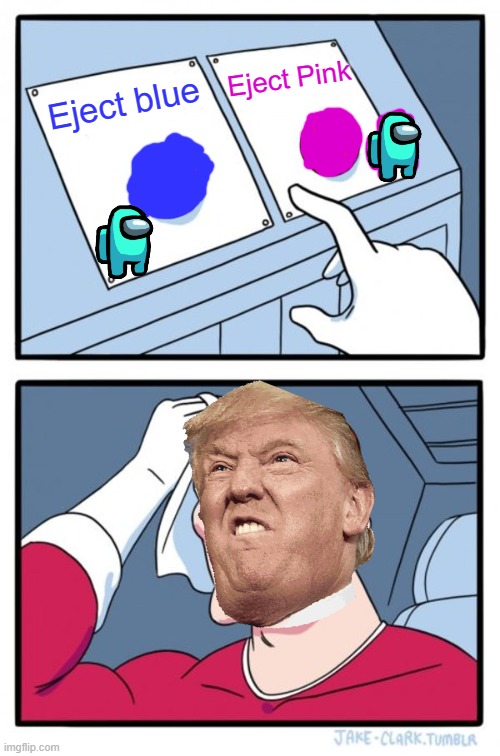 WITCH DO I CHOOSE?! | Eject Pink; Eject blue | image tagged in memes,two buttons | made w/ Imgflip meme maker