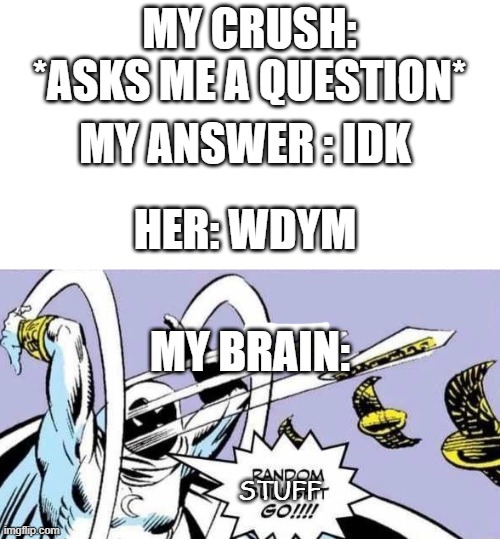 relatable or not | MY CRUSH: *ASKS ME A QUESTION*; MY ANSWER : IDK; HER: WDYM; MY BRAIN:; STUFF | image tagged in random bullshit go | made w/ Imgflip meme maker
