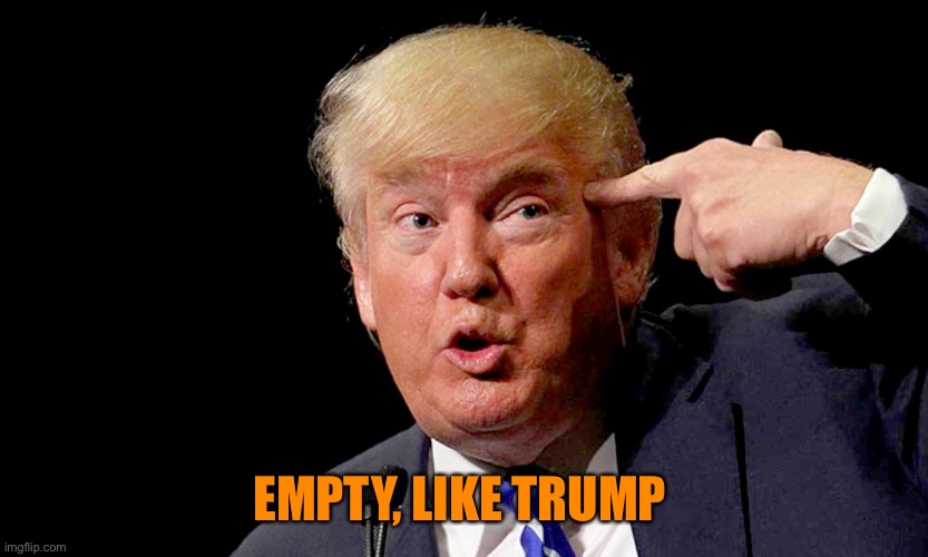 Trump points to empty space above neck | EMPTY, LIKE TRUMP | image tagged in trump points to empty space above neck | made w/ Imgflip meme maker