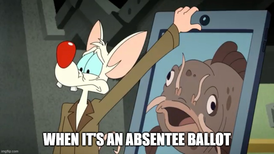 Catfished Pinky | WHEN IT'S AN ABSENTEE BALLOT | image tagged in catfished pinky,memes,political meme,animaniacs | made w/ Imgflip meme maker