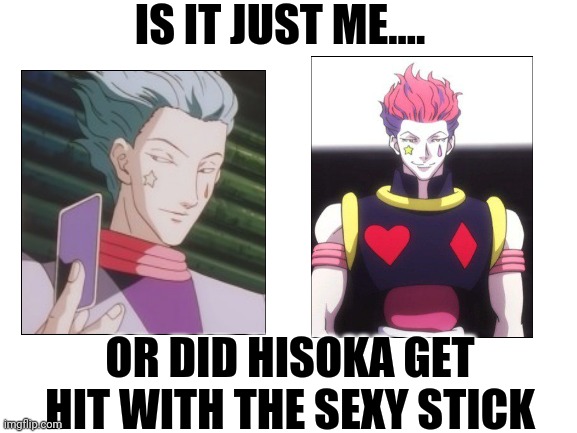 ???bruh- | IS IT JUST ME.... OR DID HISOKA GET HIT WITH THE SEXY STICK | image tagged in blank white template,hxh | made w/ Imgflip meme maker
