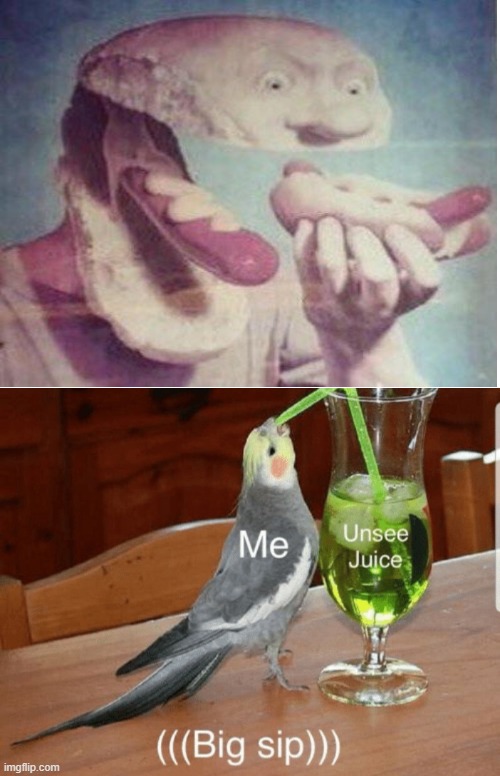 wat | image tagged in unsee juice | made w/ Imgflip meme maker