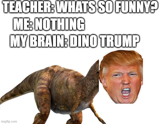 dino trump | TEACHER: WHATS SO FUNNY? MY BRAIN: DINO TRUMP; ME: NOTHING | image tagged in meme | made w/ Imgflip meme maker