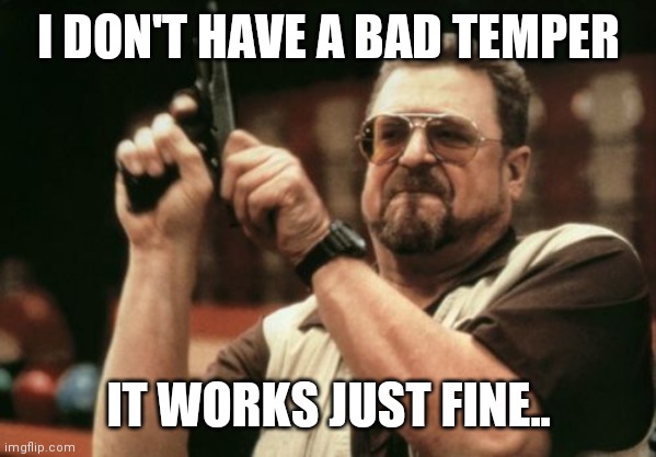 Am I The Only One Around Here | I DON'T HAVE A BAD TEMPER; IT WORKS JUST FINE.. | image tagged in memes,am i the only one around here | made w/ Imgflip meme maker