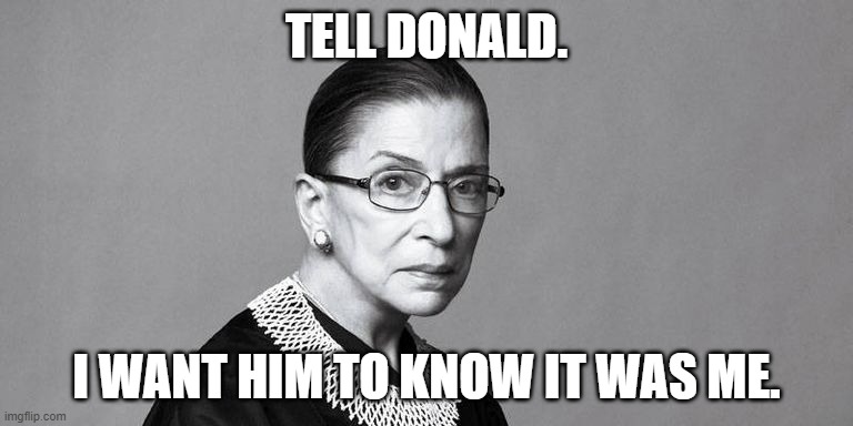 Rbg | TELL DONALD. I WANT HIM TO KNOW IT WAS ME. | image tagged in rbg | made w/ Imgflip meme maker