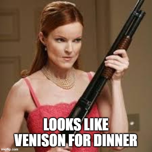 wife with a shotgun | LOOKS LIKE VENISON FOR DINNER | image tagged in wife with a shotgun | made w/ Imgflip meme maker