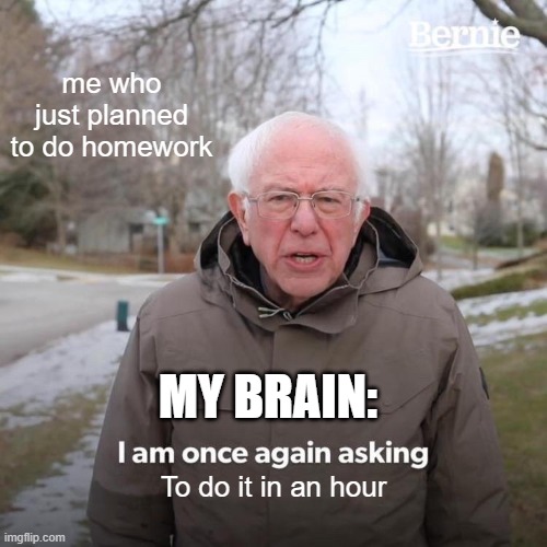 bernie | me who just planned to do homework; MY BRAIN:; To do it in an hour | image tagged in memes,bernie i am once again asking for your support | made w/ Imgflip meme maker