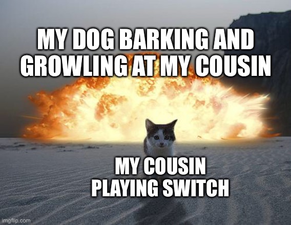 “Creative title here” | MY DOG BARKING AND GROWLING AT MY COUSIN; MY COUSIN PLAYING SWITCH | image tagged in cat explosion | made w/ Imgflip meme maker