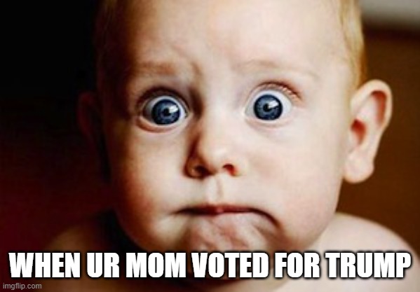 Scared Face | WHEN UR MOM VOTED FOR TRUMP | image tagged in scared face | made w/ Imgflip meme maker