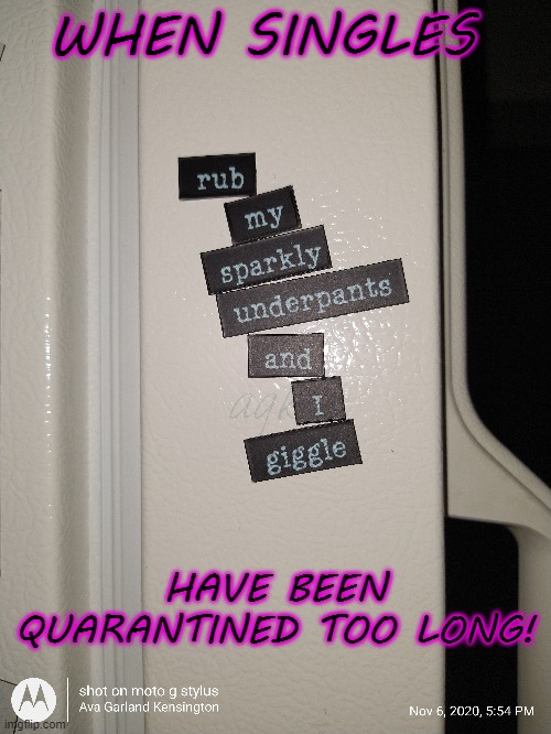 Single Life | WHEN SINGLES; HAVE BEEN QUARANTINED TOO LONG! | image tagged in single,online dating,quarantine,pandemic problems | made w/ Imgflip meme maker
