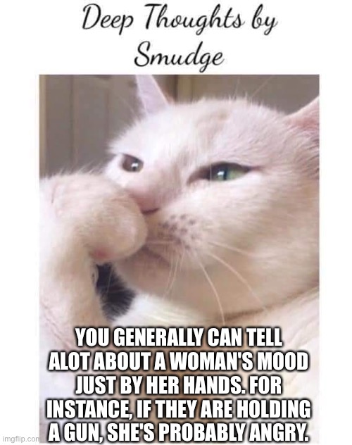 Deep thoughts | YOU GENERALLY CAN TELL ALOT ABOUT A WOMAN'S MOOD JUST BY HER HANDS. FOR INSTANCE, IF THEY ARE HOLDING A GUN, SHE'S PROBABLY ANGRY. | image tagged in deep-thoughts-by-smudge | made w/ Imgflip meme maker