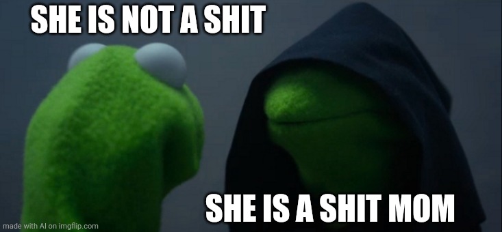 Difference of opinion | SHE IS NOT A SHIT; SHE IS A SHIT MOM | image tagged in memes,evil kermit | made w/ Imgflip meme maker