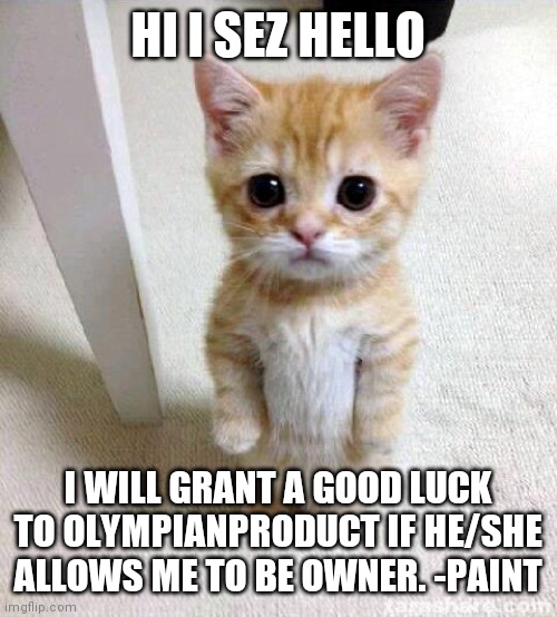 Cute Cat |  HI I SEZ HELLO; I WILL GRANT A GOOD LUCK TO OLYMPIANPRODUCT IF HE/SHE ALLOWS ME TO BE OWNER. -PAINT | image tagged in memes,cute cat | made w/ Imgflip meme maker