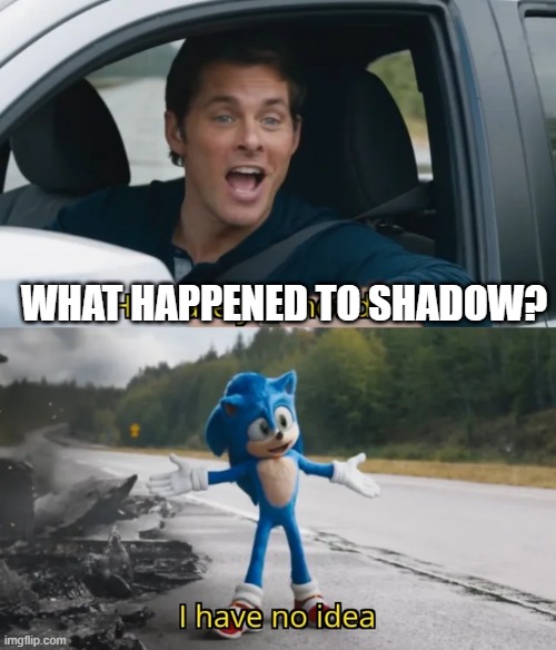 Sonic I have no idea | WHAT HAPPENED TO SHADOW? | image tagged in sonic i have no idea | made w/ Imgflip meme maker