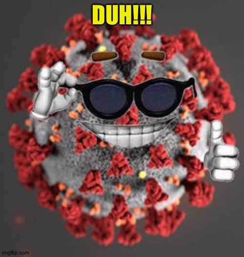 Coronavirus | DUH!!! | image tagged in coronavirus | made w/ Imgflip meme maker
