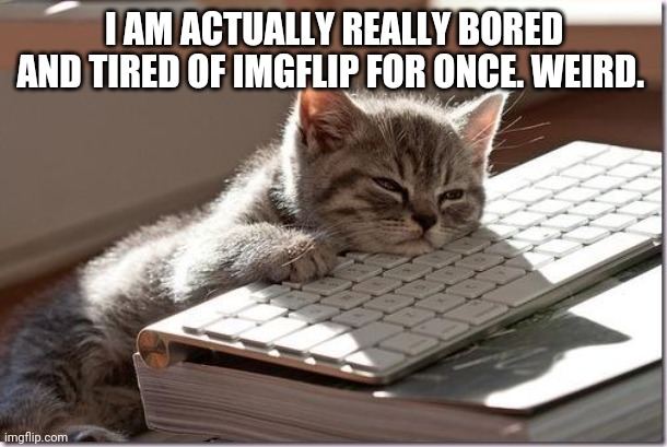 Bored Keyboard Cat | I AM ACTUALLY REALLY BORED AND TIRED OF IMGFLIP FOR ONCE. WEIRD. | image tagged in bored keyboard cat | made w/ Imgflip meme maker