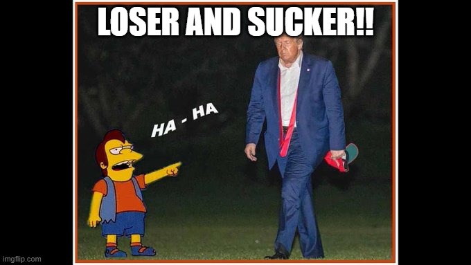 Trump election | LOSER AND SUCKER!! | image tagged in loss | made w/ Imgflip meme maker