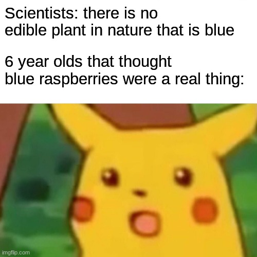 sorry kids blue raspberries aren't real | Scientists: there is no edible plant in nature that is blue; 6 year olds that thought blue raspberries were a real thing: | image tagged in memes,surprised pikachu,imgflip,funny,blue raspberry,scientist | made w/ Imgflip meme maker