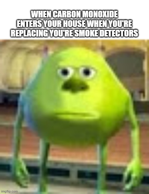 Sully Wazowski | WHEN CARBON MONOXIDE ENTERS YOUR HOUSE WHEN YOU'RE REPLACING YOU'RE SMOKE DETECTORS | image tagged in sully wazowski | made w/ Imgflip meme maker