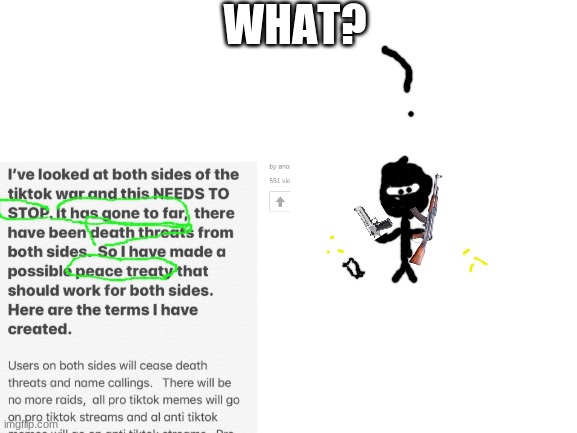 i found this IMGFLIP U.N. person's opinion on the  war and this is what i have to say | WHAT? | image tagged in blank white template | made w/ Imgflip meme maker