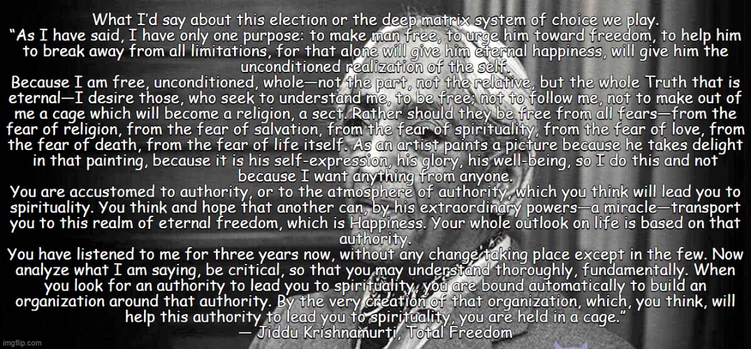what i have to say about the election | image tagged in jiddu-krishnamurti,matrix,free,election | made w/ Imgflip meme maker