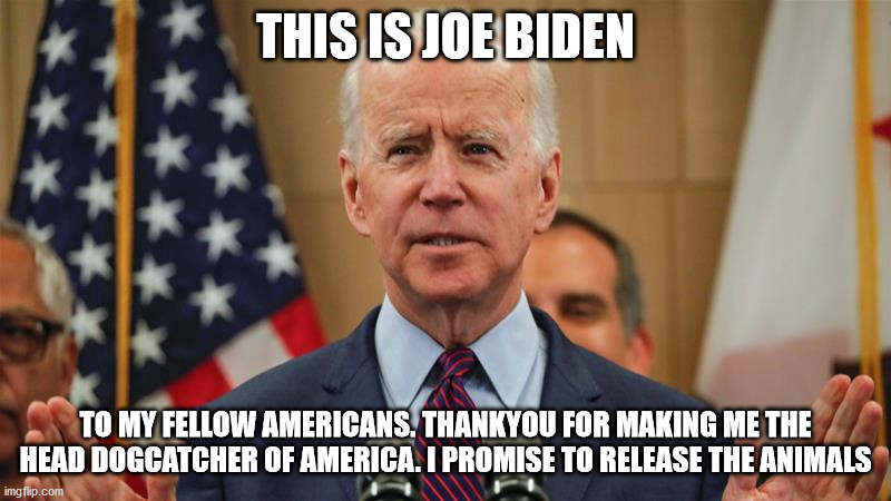 Joe Biden confused again | THIS IS JOE BIDEN; TO MY FELLOW AMERICANS. THANKYOU FOR MAKING ME THE HEAD DOGCATCHER OF AMERICA. I PROMISE TO RELEASE THE ANIMALS | image tagged in joe biden worries,joe biden,democrats,republicans | made w/ Imgflip meme maker