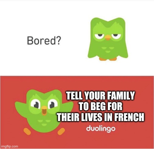 dead | TELL YOUR FAMILY TO BEG FOR THEIR LIVES IN FRENCH | image tagged in duolingo bored | made w/ Imgflip meme maker