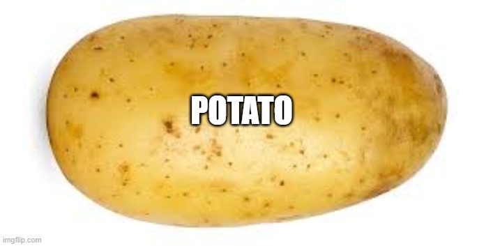 Please make this famous | POTATO | image tagged in potato | made w/ Imgflip meme maker