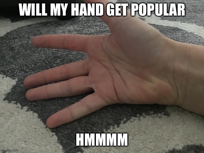 Cheese | WILL MY HAND GET POPULAR; HMMMM | image tagged in memes | made w/ Imgflip meme maker