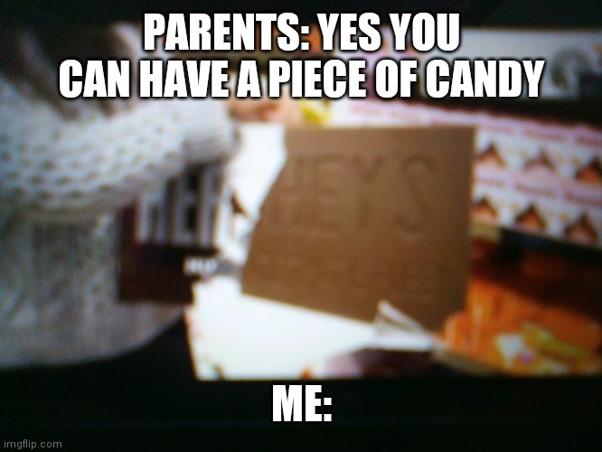 Giant hershey | PARENTS: YES YOU CAN HAVE A PIECE OF CANDY; ME: | image tagged in lol | made w/ Imgflip meme maker