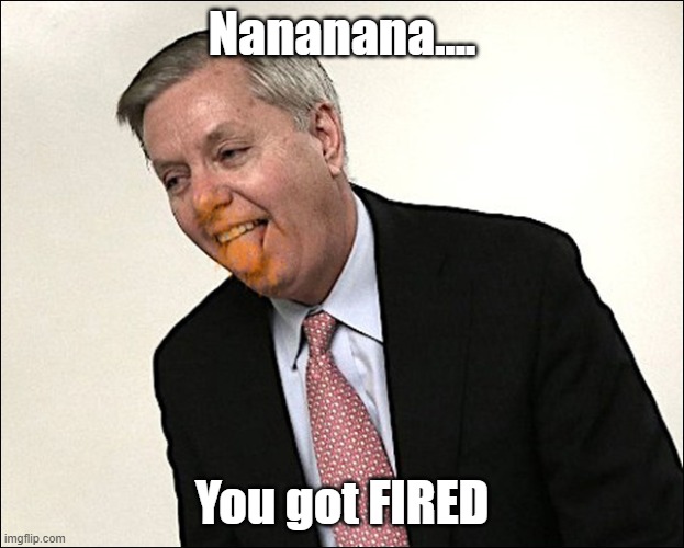 You got fired | Nananana.... You got FIRED | image tagged in lindsay graham | made w/ Imgflip meme maker