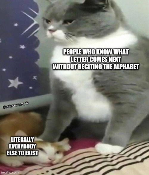 Big Brain | PEOPLE WHO KNOW WHAT LETTER COMES NEXT WITHOUT RECITING THE ALPHABET; @swisshunter_12; LITERALLY EVERYBODY ELSE TO EXIST | image tagged in big cat bullying little cat | made w/ Imgflip meme maker