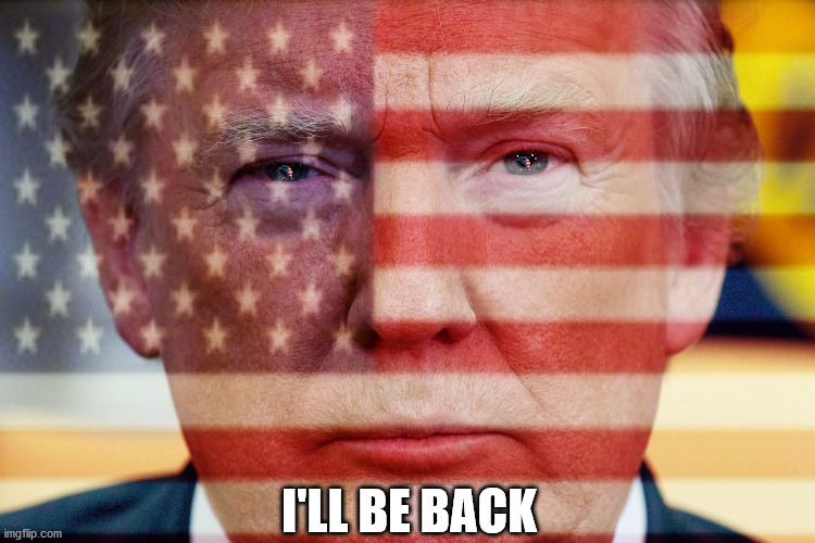 Trump Flag | I'LL BE BACK | image tagged in trump flag | made w/ Imgflip meme maker