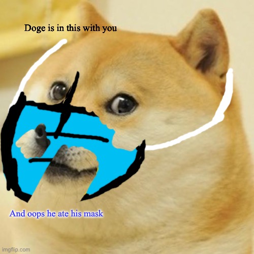 Doge | Doge is in this with you; And oops he ate his mask | image tagged in memes,doge | made w/ Imgflip meme maker