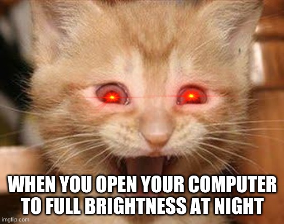 mega cat |  WHEN YOU OPEN YOUR COMPUTER TO FULL BRIGHTNESS AT NIGHT | image tagged in memes,excited cat | made w/ Imgflip meme maker