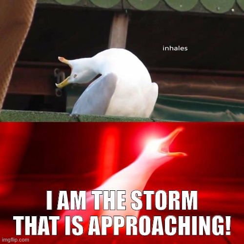 Bury the Light got me like | I AM THE STORM THAT IS APPROACHING! | image tagged in inhaling bird meme,devil may cry,DevilMayCry | made w/ Imgflip meme maker