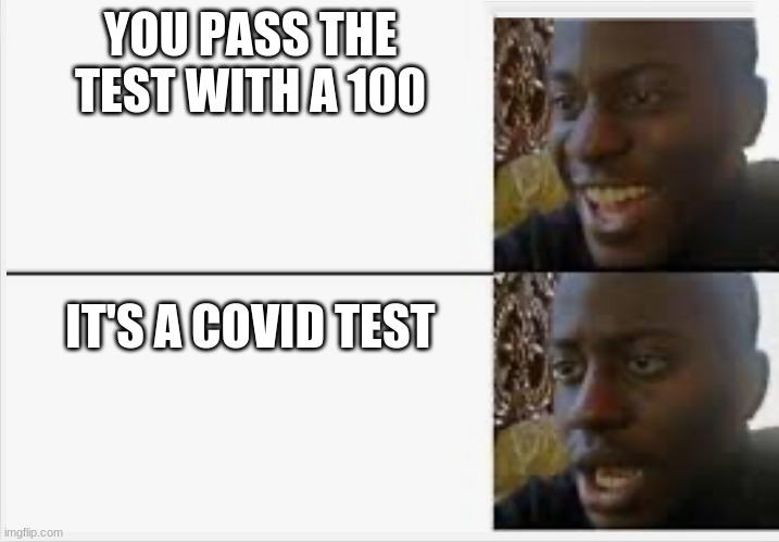 lol | YOU PASS THE TEST WITH A 100; IT'S A COVID TEST | image tagged in bruh | made w/ Imgflip meme maker
