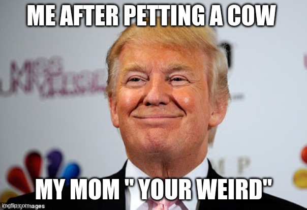 Donald trump approves | ME AFTER PETTING A COW; MY MOM " YOUR WEIRD" | image tagged in donald trump approves | made w/ Imgflip meme maker