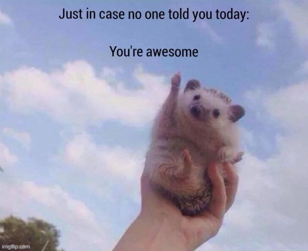 hope this makes your day :) | image tagged in hedgehog,cute,wholesome,aww,adorable,uwu | made w/ Imgflip meme maker