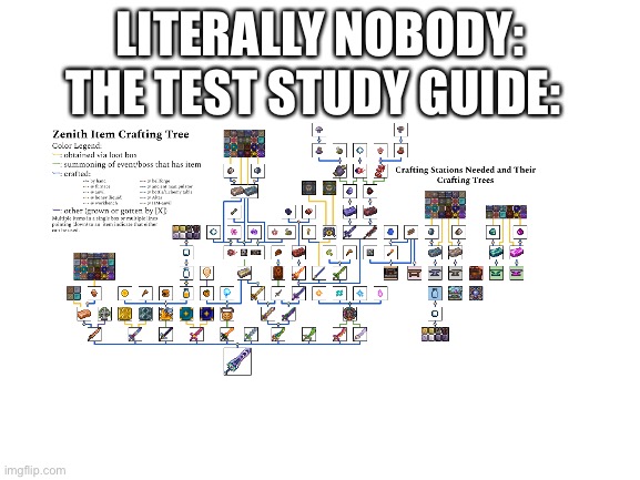 hard shit | THE TEST STUDY GUIDE:; LITERALLY NOBODY: | image tagged in terraria,memes | made w/ Imgflip meme maker