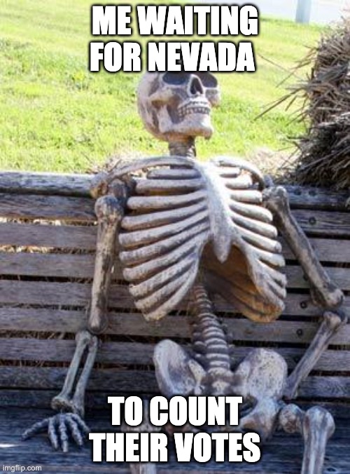 NOVODA | ME WAITING FOR NEVADA; TO COUNT THEIR VOTES | image tagged in memes,waiting skeleton | made w/ Imgflip meme maker
