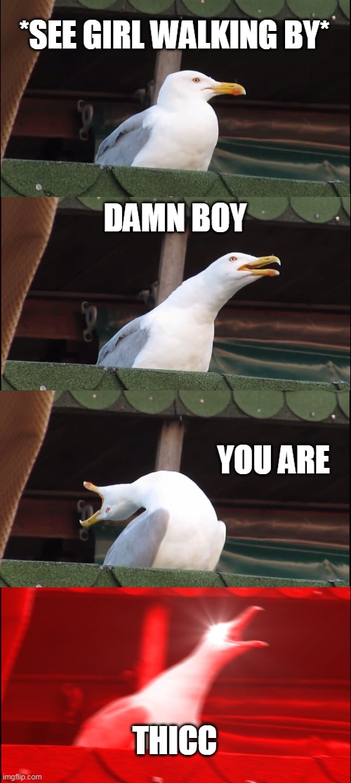 Inhaling Seagull | *SEE GIRL WALKING BY*; DAMN BOY; YOU ARE; THICC | image tagged in memes,inhaling seagull | made w/ Imgflip meme maker